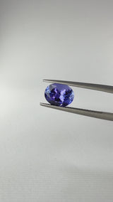 Tanzanite - Tanzania - Ct. 2,53