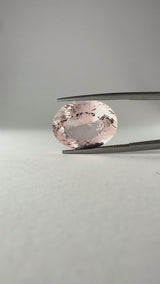 Morganite - Brasile - Ct. 14,70