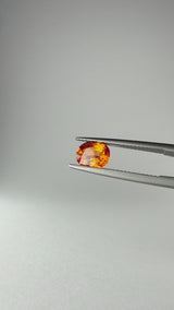 Spessartite - Tanzania - Ct. 1,77