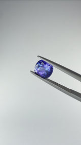 Tanzanite - Tanzania - Ct. 2,51