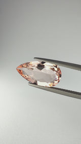 Morganite - Brasile - Ct. 4,29