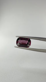 Spinello - Myanmar - Ct. 3,55