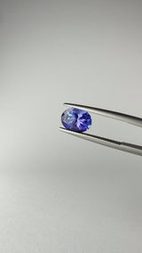 Tanzanite - Tanzania - Ct. 2,59