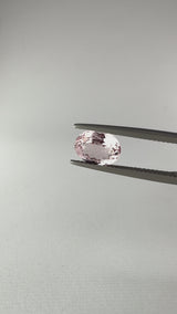 Morganite - Brasile - Ct. 1,72