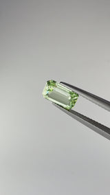 Mint Garnet - Tanzania - Ct. 2,48