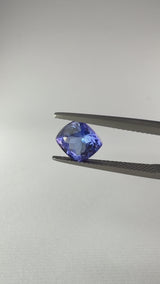 Tanzanite - Tanzania - Ct. 2,67