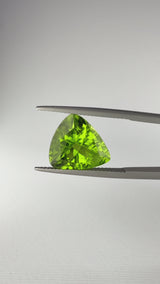 Peridoto - Pakistan - Ct. 7,91