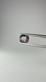 Spinello - Myanmar - Ct. 2,98